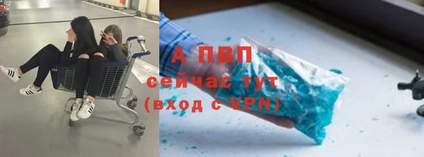 гашик Абинск