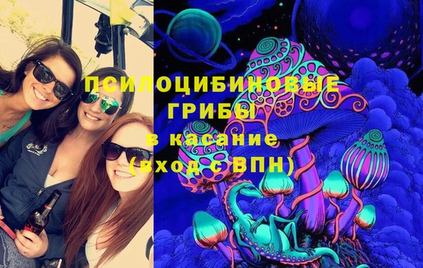 амф Алексин