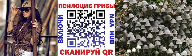 hydra ССЫЛКА  где найти наркотики  Куртамыш  Псилоцибиновые грибы MAGIC MUSHROOMS 